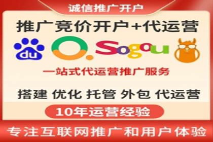 某某SEM团队成功案例：广告投放策略揭秘